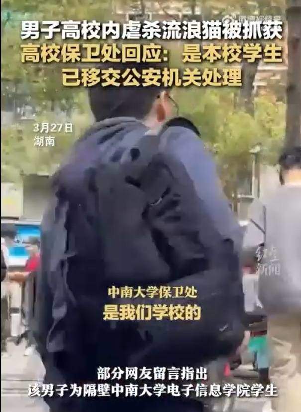 男子校内虐杀流浪猫被大学生抓获：被发现后用头撞击硬物自残